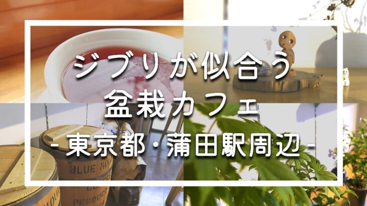 蒲田駅周辺の散歩でジブリが似合う穴場の盆栽カフェに出会う｜東京CafeVlog