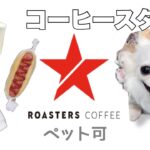 【カフェ】ペット可。オシャレなコーヒースタンドROASTERS coffeeへ行きました！大阪ドッグカフェ