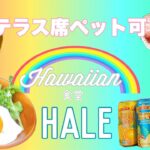 【食事】ペット可。Hawaiian食堂HALEへ行きました！大阪ドッグカフェ