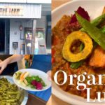 【Vlog】渋谷オーガニックランチ｜ランチ&カフェ｜オーガニックカフェ｜WE ARE THE FARM｜Organic Lunch｜vlog