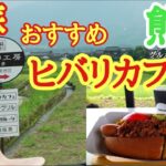 【熊本旅行】阿蘇で人気の『ヒバリカフェ』美味しいホットドッグと阿蘇の景色を独り占めできるおすすめスポットカフェ編熊本観光グルメ夫婦旅行⑧vlog