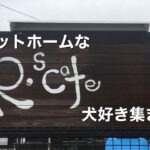 人気のドッグカフェ　R’sカフェ
