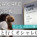 【愛犬とお出かけ】ペットに優しい都内のオシャレカフェ/ANEA CAFE松見坂