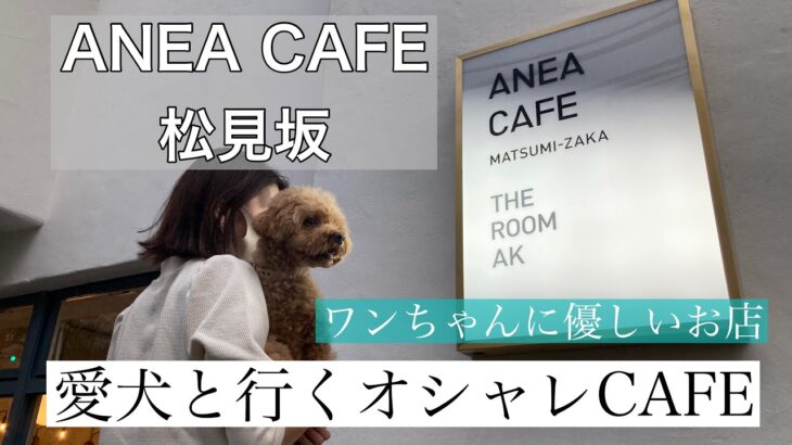 【愛犬とお出かけ】ペットに優しい都内のオシャレカフェ/ANEA CAFE松見坂