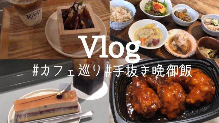 【Vlog】ヤンニョムチキンほおばりながら韓ドラ🇰🇷/カフェ巡り☕️/豚汁が食べたくなった秋🍁