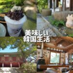 【韓国カフェ】江華島にあるお寺の心も体も健康になるナツメ茶
