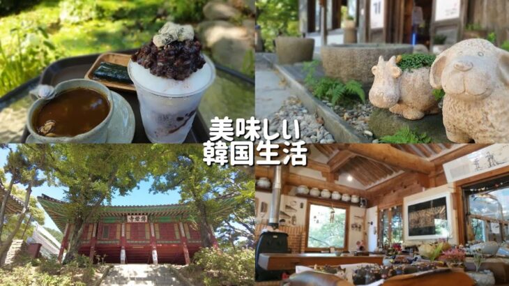 【韓国カフェ】江華島にあるお寺の心も体も健康になるナツメ茶