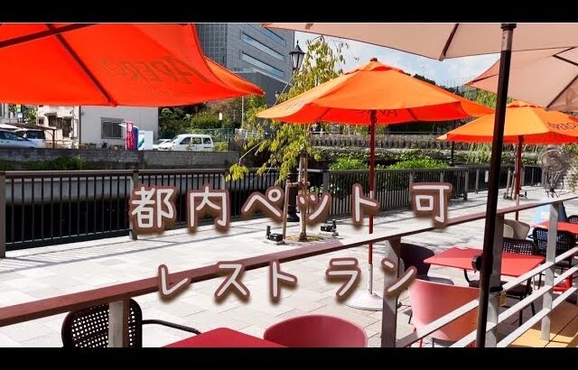 【東京ミズマチ】都内にあるペット可レストラン&カフェ