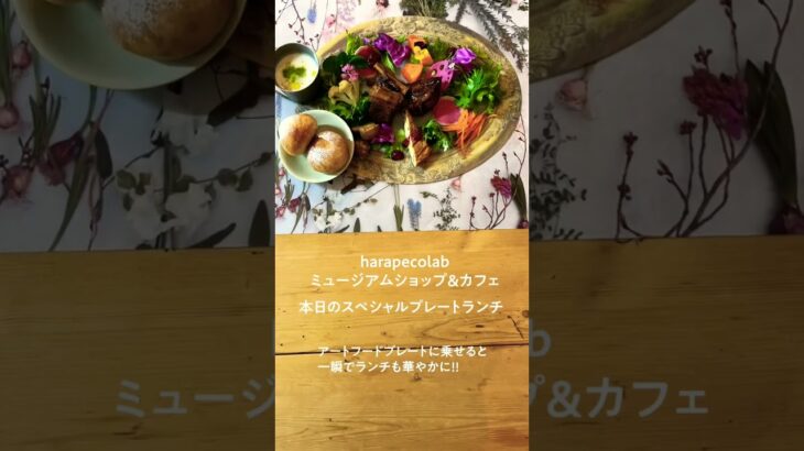 ハラペコラボ　ミュージアムショップ＆カフェ　本日のスペシャルランチプレート