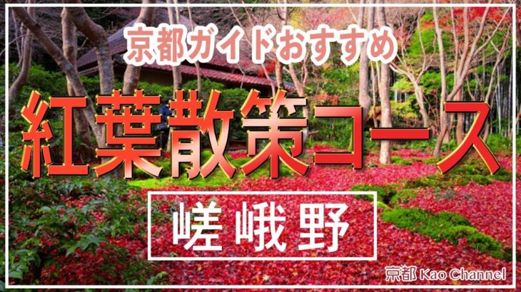 【京都穴場紅葉散策コース嵯峨野編】京都ガイドおすすめの隠れスポットもご紹介。