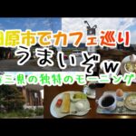 【カフェ巡り】田原市のおすすめカフェご紹介！田舎ならではのモーニングサービスへ是非食べに来りんヾ(≧▽≦)ﾉ