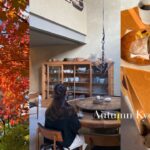 vlog. 秋の京都旅 | 紅葉ライトアップ | 京都穴場カフェ | モーニング | 京うどんを食べる