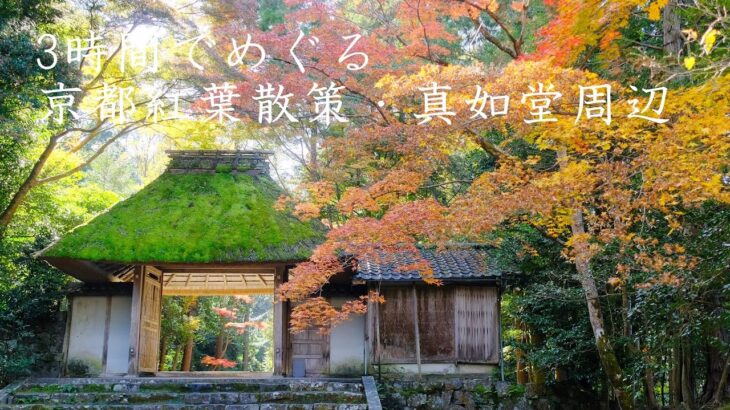 3時間でめぐる京都紅葉散策・東山編：穴場カフェ/真如堂/栄摂院/安楽寺/法然院/哲学の道