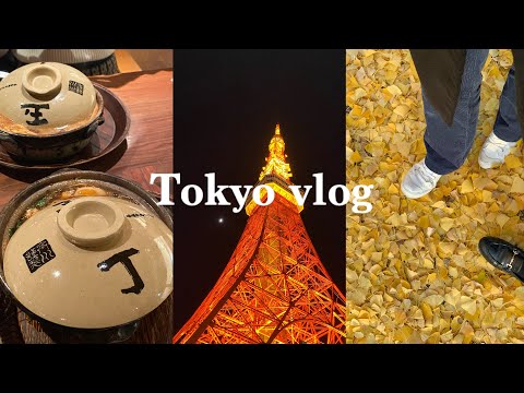 JP/EN) 東京vlog | 東京タワー 靖国神社 カフェ巡り イチョウが綺麗だった日