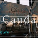 【ならカフェVlog】Cauda　こだわりのサイフォン式コーヒー　熱々コーヒーとケーキの最強コンボ