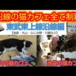 【沿線の猫カフェ巡り】東武東上線エリアの猫カフェをほぼ全て訪れてみた 【池袋 大山 川越市など】