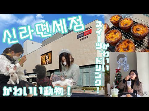 신라 면세점(シンラ免税店)周辺カフェ巡り！