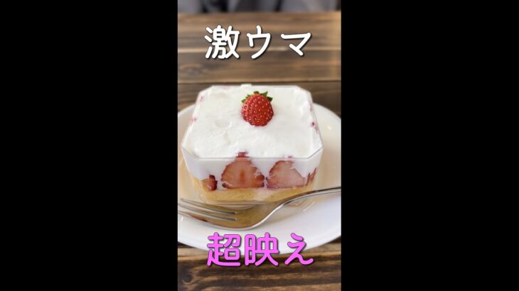 #仙台 【過去１美味しいカフェ見つけた🍰】imagine #shorts