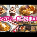 【食事vlog】旅行中の食事 ご当地グルメ｜オシャレカフェ｜ラーメンなど 旅ごはん ハンガリーの食事はコスパ最強だった