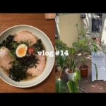 【vlog】大学生の京都旅🌾｜おすすめカフェ｜アンティークショップ｜グルメ旅