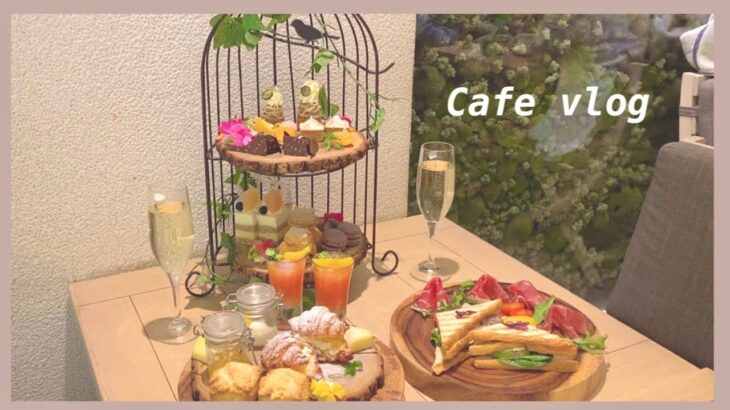 新宿のおすすめアフタヌーンティー🫖🤍 ゆっくりできる穴場カフェ | HATAKE CAFE