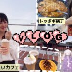 【韓国Vlog】皆さんと秘密にしたいソウルのカフェ🍰|明洞近くのトッポギ横丁🌟|ソウルグルメ、カフェ☕️