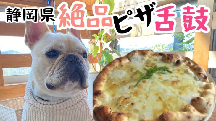 【ペット可】静岡県富士市で愛犬と絶景富士山を眺めるスポットへ♬ランチは西伊豆函南町でクアトロフォルマッジを堪能🍕　ふじのくに田子の浦みなと公園/ビブラビブレ/函南町