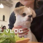 【vlog】#2  世田谷カフェ巡り☕️🥐/こんな素敵なカフェがあったとは…🐶🤍/中目黒・池尻大橋・三軒茶屋カフェ・ランチ/愛犬と過ごす休日。