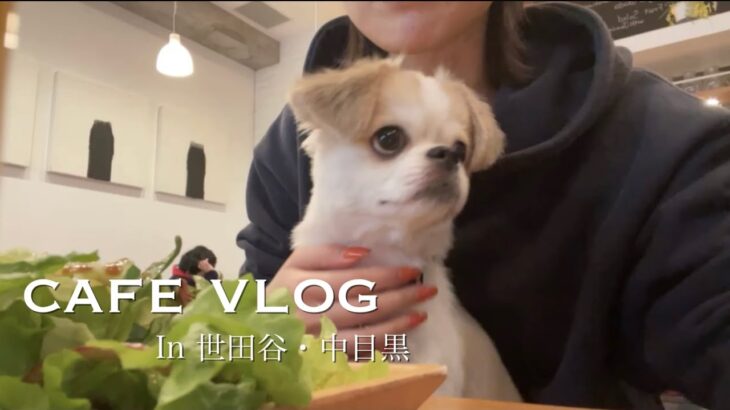 【vlog】#2  世田谷カフェ巡り☕️🥐/こんな素敵なカフェがあったとは…🐶🤍/中目黒・池尻大橋・三軒茶屋カフェ・ランチ/愛犬と過ごす休日。