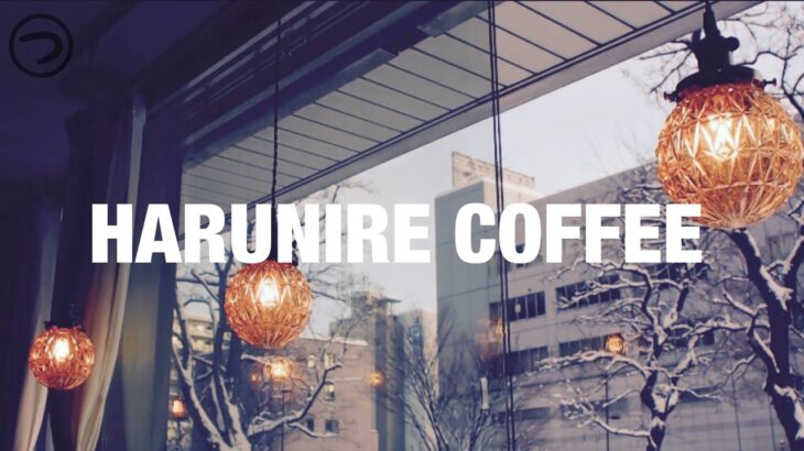 【vlog】春楡珈琲(HARUNIRE COFFEE)札幌カフェ