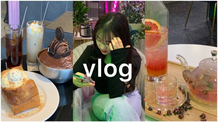 [看護師1年目] 休日VLOG-韓国式海鮮.穴場カフェ.八王子カフェ-