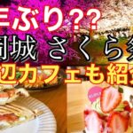 【福岡県 福岡市】中央区 荒戸 カップルおすすめ お洒落カフェ 3年ぶり⁈大濠公園 福岡城 さくら祭り2022