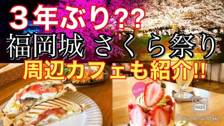 【福岡県 福岡市】中央区 荒戸 カップルおすすめ お洒落カフェ 3年ぶり⁈大濠公園 福岡城 さくら祭り2022