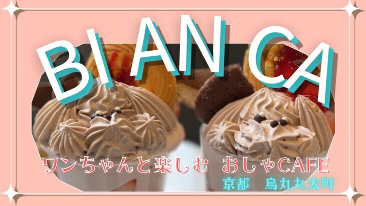 【オススメ京都カフェ】BI AN CA　ビアンカ　仲良しお友達と過ごすリフレッシュランチ　可愛いだけじゃない！とっても美味しいイタリアンランチとわんこパフェのデザート　お土産はわんこマカロン