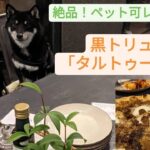 【都内ペット可レストラン】モッツァレラチーズ専門店行ってきた🐾
