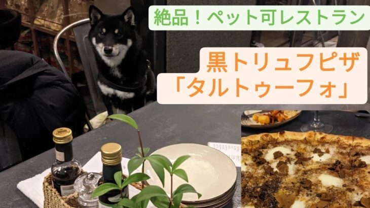 【都内ペット可レストラン】モッツァレラチーズ専門店行ってきた🐾