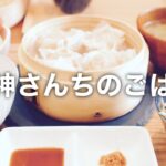【vlog】白神さんちのごはん 札幌カフェ巡り
