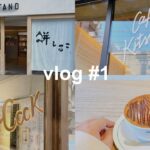 【vlog #1】東京カフェ巡り/表参道周辺/おすすめカフェ/remer