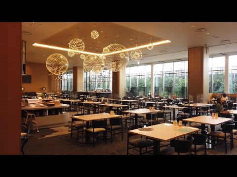 【大阪vlog】ホテル阪急レスパイア大阪のランチを紹介。大阪散歩/大阪カフェ