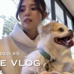 【vlog】#5  世田谷ランチ・カフェ☕️🥐/きぬた公園/表参道ショッピング/愛犬と過ごす休日🐶☕️/スローライフ🤍