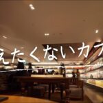 【本当は教えたくない代官山穴場カフェ】Anjin | Tokyo Caffe  | 電源ありWi-Fiスピード早い | カフェデートにオススメ