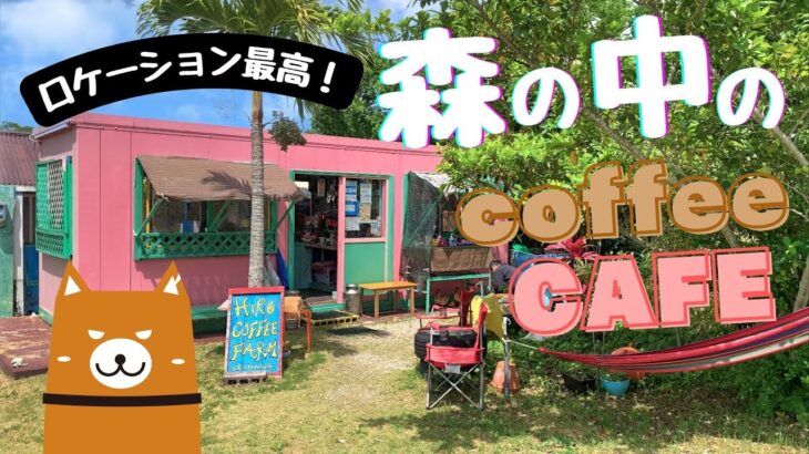 【森の中のカフェ】　カラフルなお店はインスタ映え間違いなし！　カフェ　Hiro Coffee farm に行ってきました。沖縄カフェ紹介　ヤンバル　国頭郡【沖縄北部　カフェ】