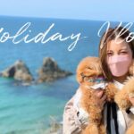 Holiday Vlog【糸島】【ドッグカフェ】【ペット可】