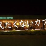 本当は教えたくない二子玉川の穴場カフェ | Starbucks coffee | 世田谷カフェ｜Tokyo Cafe  | 夜のカフェデートにオススメ!!