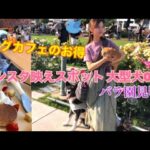 【インスタ映えスポット、大型犬OK】大阪中之島バラ園🌺見頃❣️ ドッグカフェ　スーパーラブドッグス🐶🐱TikTok フォローしたら、全員ワンドリンクがもらえる【秋田犬、日本猫、ヨークシャテリア】