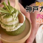 みんな大好き【ハナゾノカフェ】で【神戸カフェ】SNS映えメニューが人気！元町駅から行き方教えます