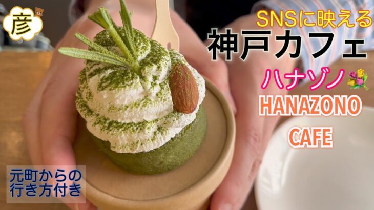 みんな大好き【ハナゾノカフェ】で【神戸カフェ】SNS映えメニューが人気！元町駅から行き方教えます