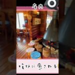#Shorts Vlog【滋賀県のインスタ映えのカフェ、シャーレ水ヶ浜に行ってみた🏃‍♀️】