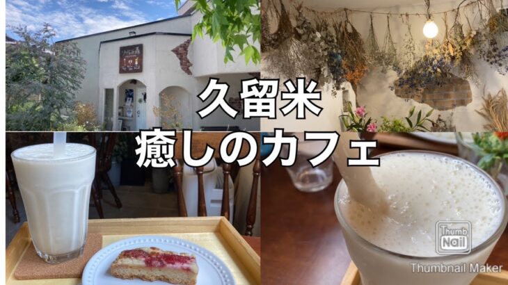 【福岡 久留米】癒しのカフェ ちょっと長居したくなるカフェ お花に囲まれながらのカフェはいかがですか #福岡カフェ #久留米カフェ