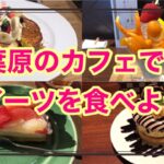 【秋葉原】カフェでスイーツを食べよう！パンケーキ・パフェ【おすすめグルメ・デザート】